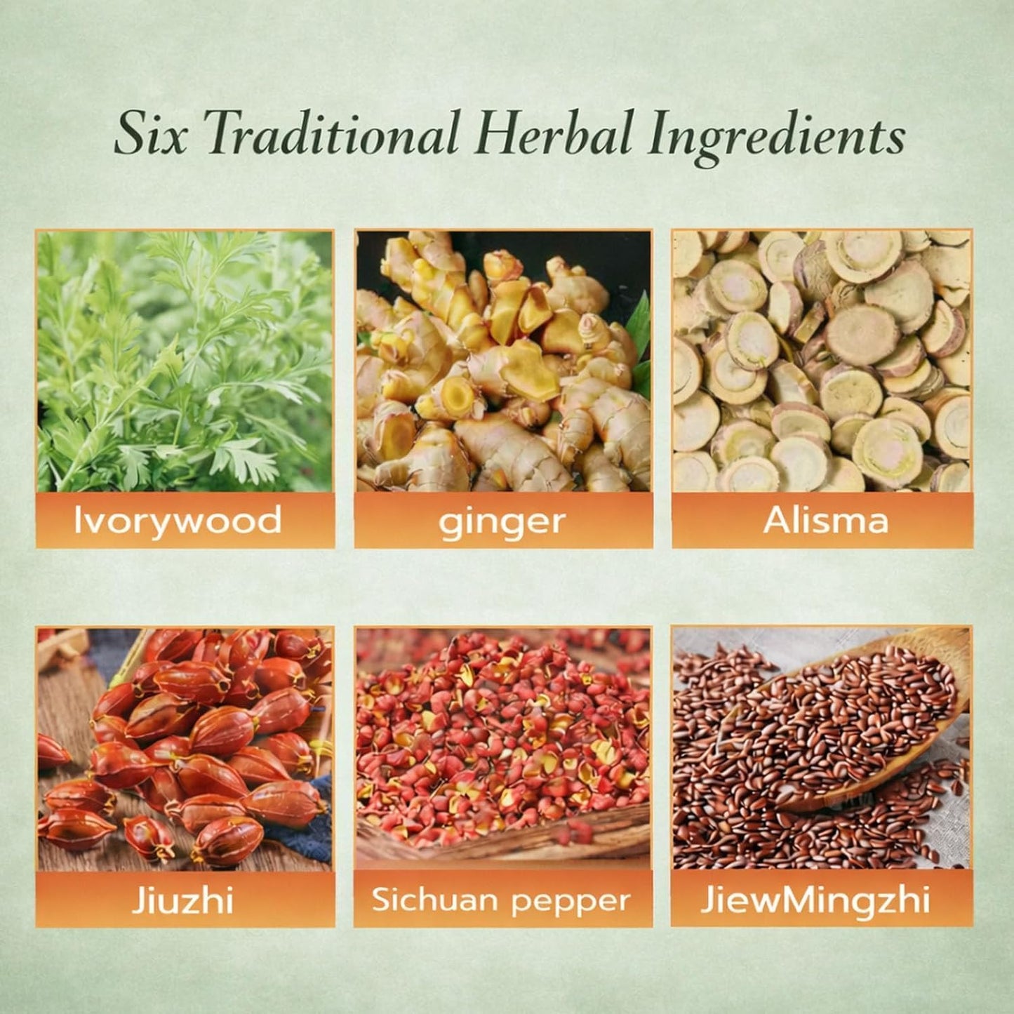 Herbal Balance Patch